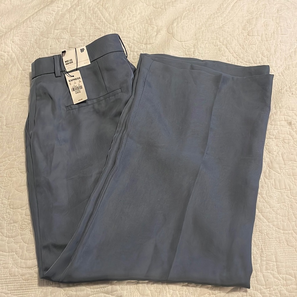 Express wide leg dress pants